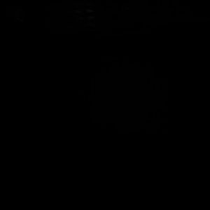 Meet your Posher, Domingo